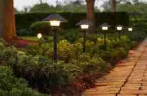 Landscape Lighting Installation in Portland, Oregon